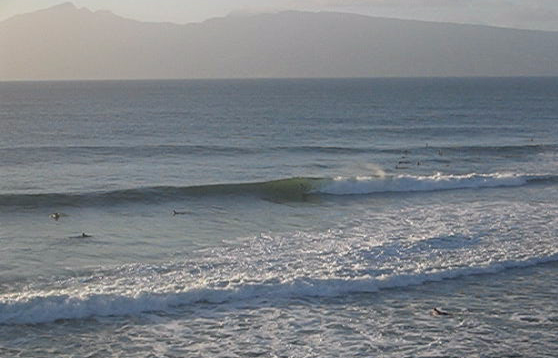 mikesurfin.jpg